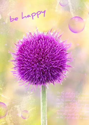 Aimee's Thistles on French Terry