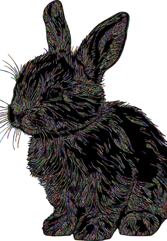 bunnyhug front zip hack2.png