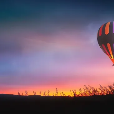 Twilight Flight in French Terry