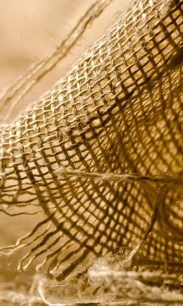 Bug Notes 2.0 - Athletic Knit