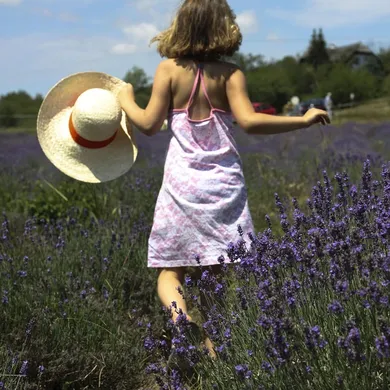 Lavender and white small floral DTY
